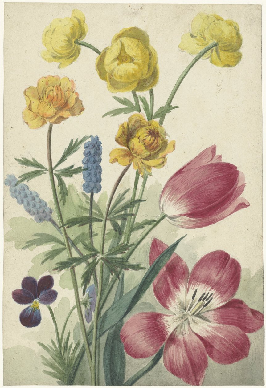 Bouquet de tulipes, violettes, muscaris et renoncules - Willem van Leen