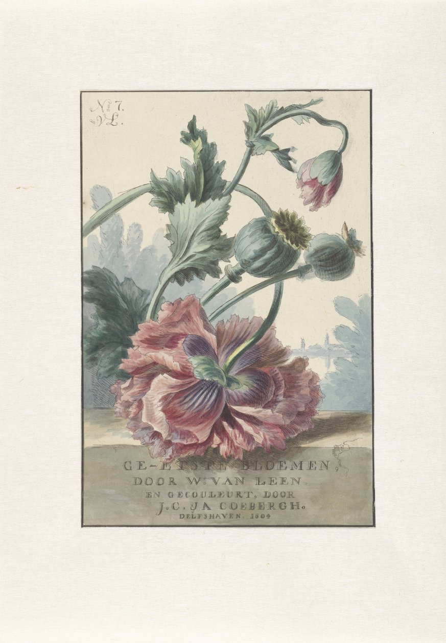Coquelicots, titre pour: W. van Leen et J.C. & J.A. Coebergh, Ge-etste Bloemen, 1804 - Willem van Leen
