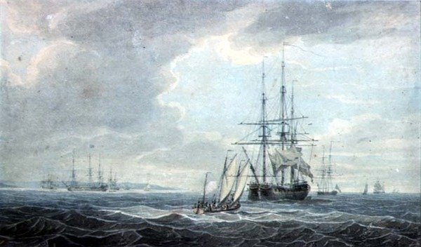Expédition maritime - William Alexander
