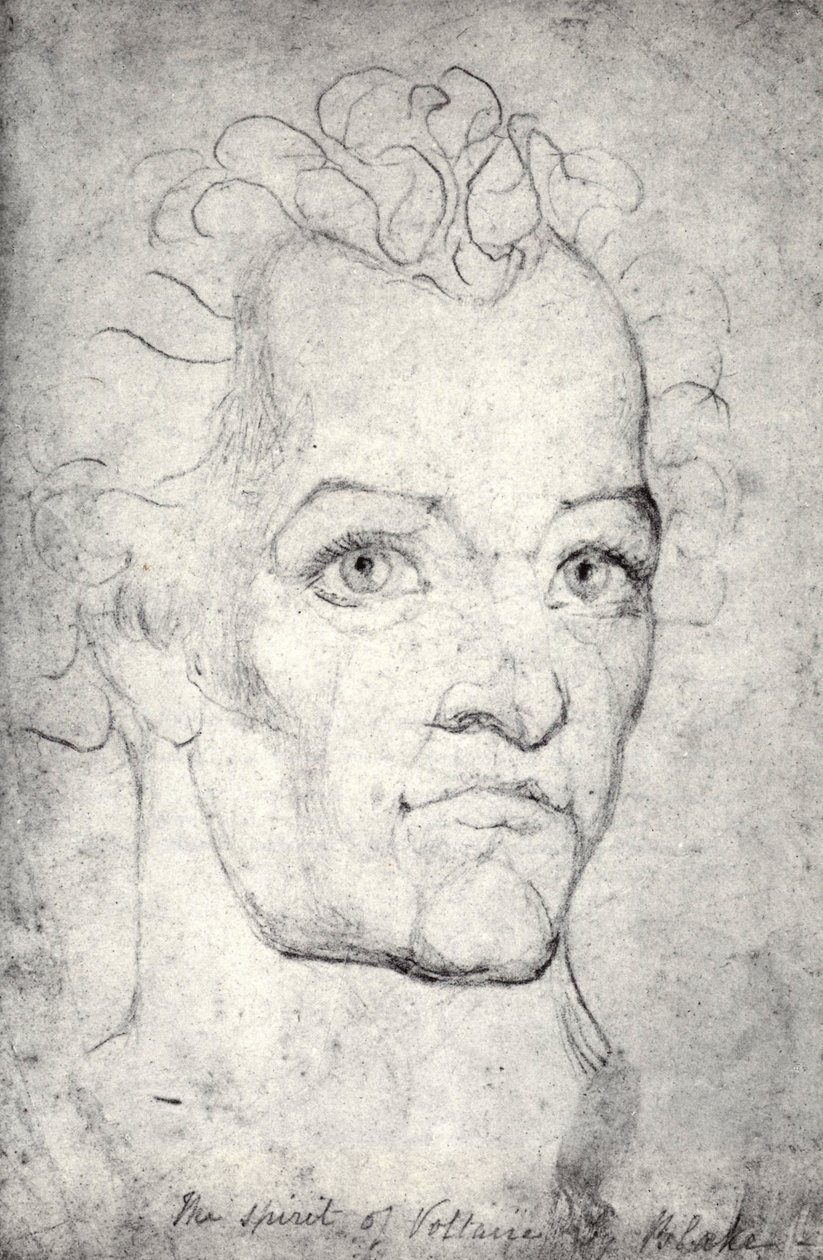Tête de Voltaire - William Blake