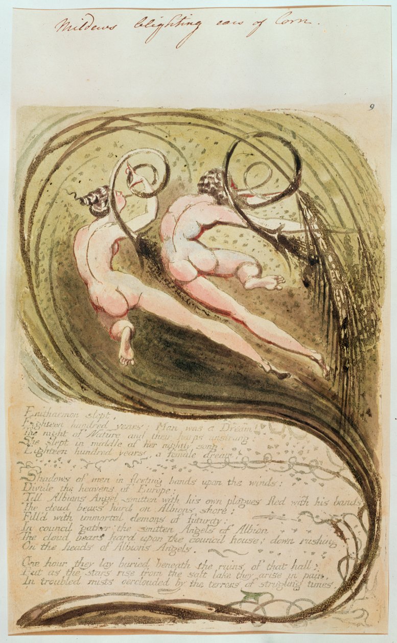 Mildiou attaquant les épis de maïs - William Blake