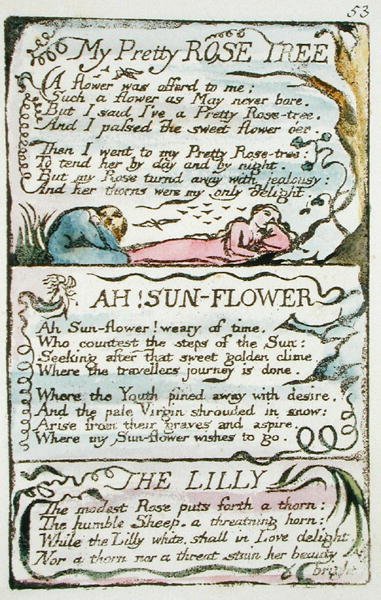 Mon joli rosier, planche 53 (Bentley 43) des Chants d