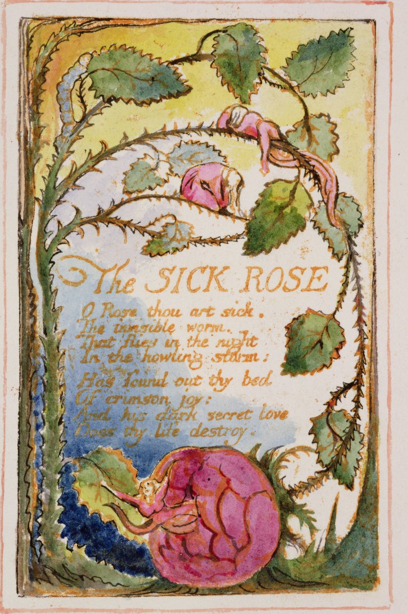 La Rose malade : planche 39 de Songs of Innocence and of Experience (copie AA) c.1815-26 - William Blake