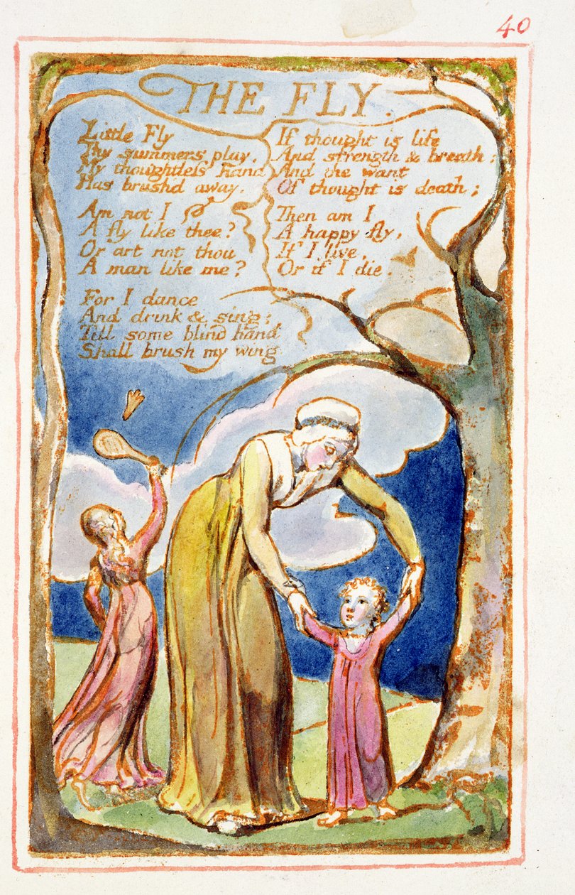 La Mouche: planche 40 de Chants d