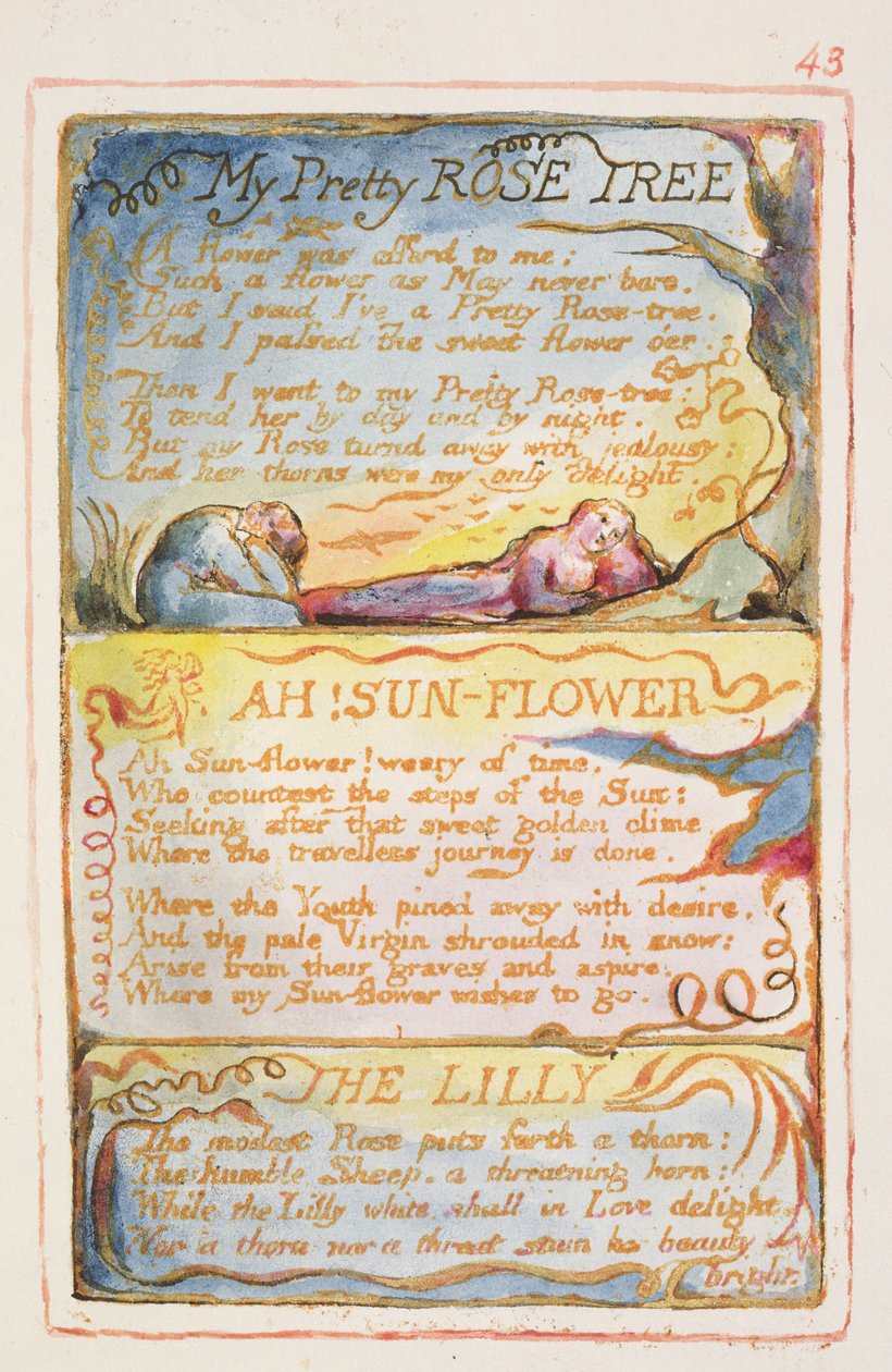 Ma jolie roseraie ; Ah ! Tournesol ; Le Lys : planche 43 de Chants d