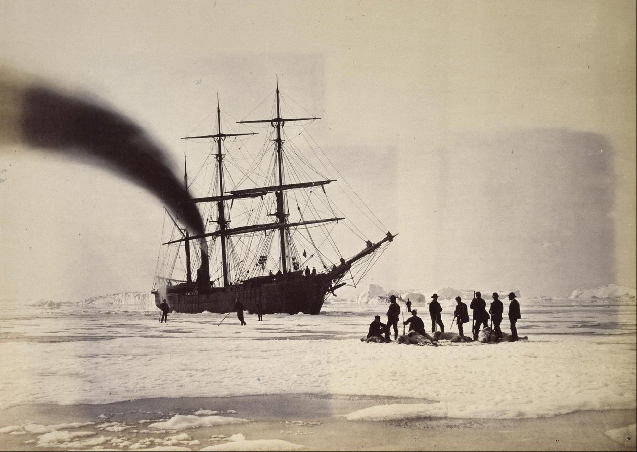Chasse à la vapeur dans la baie de Melville - William Bradford