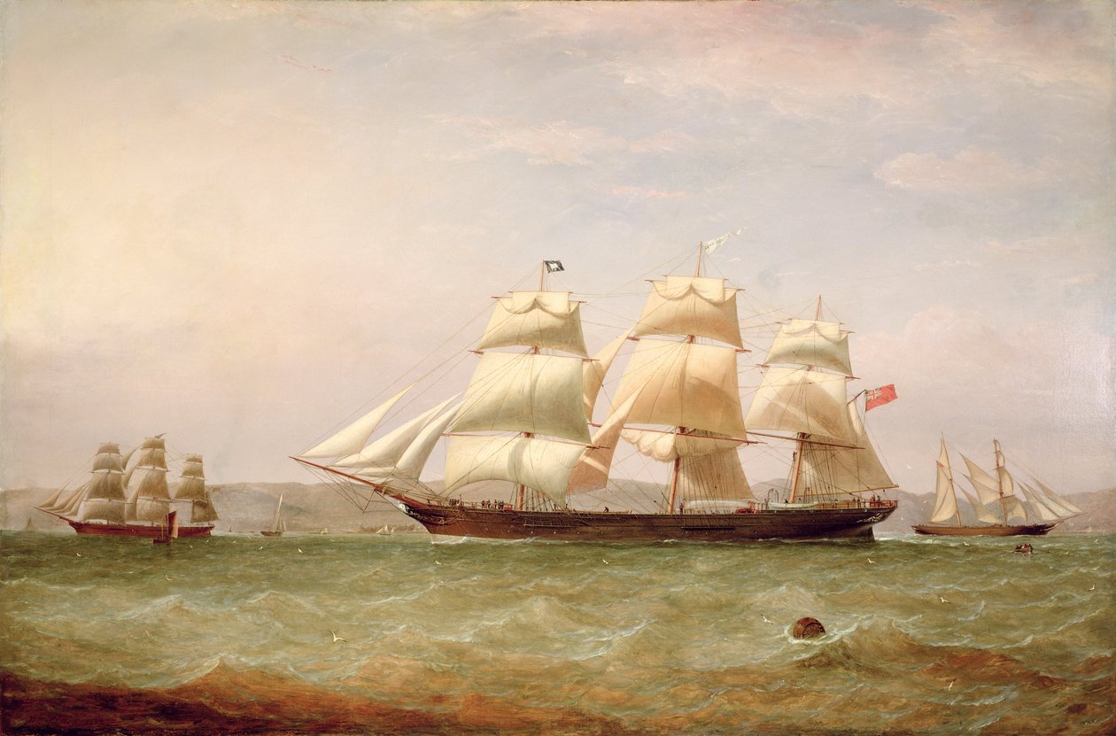 Le Clipper moyen, 