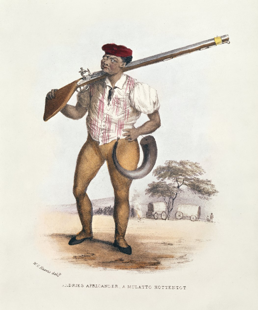 Andries Africander, un Hottentot mulâtre, illustration de Sports sauvages d
