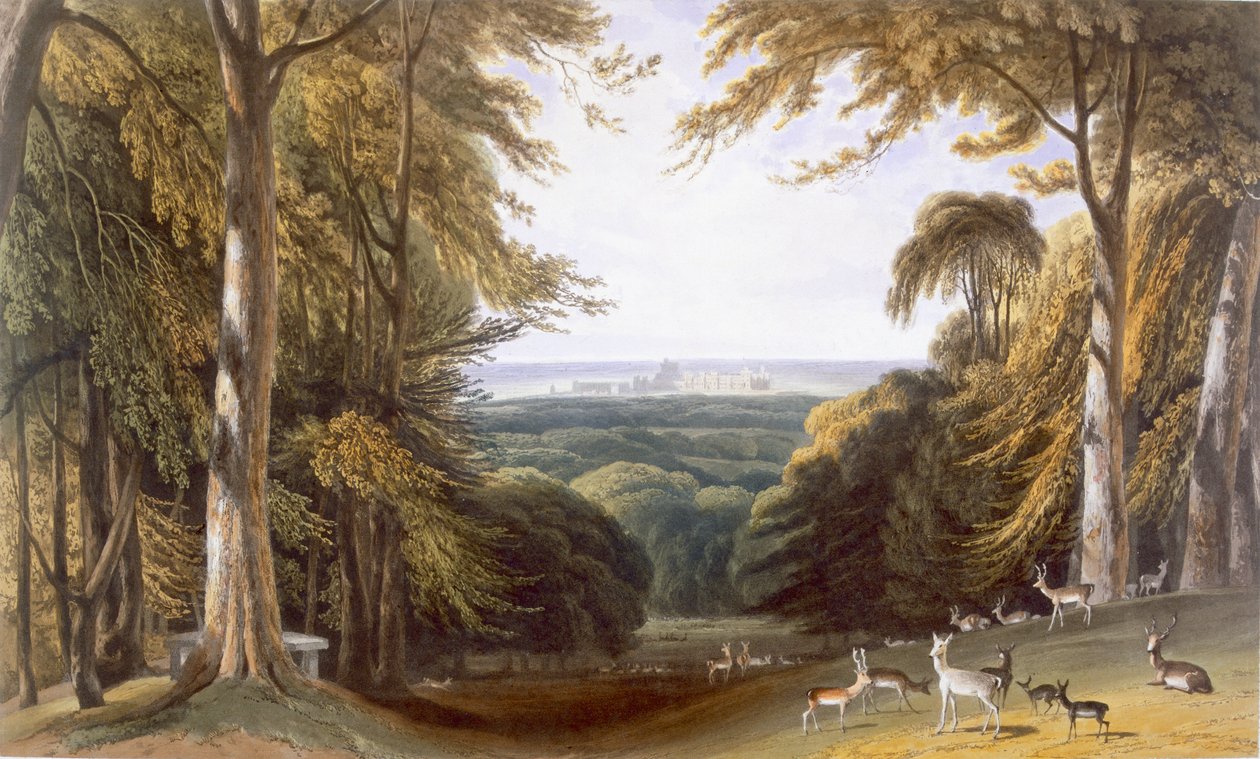 Vallée dans le parc de Windsor près de Bishops Gate, de 