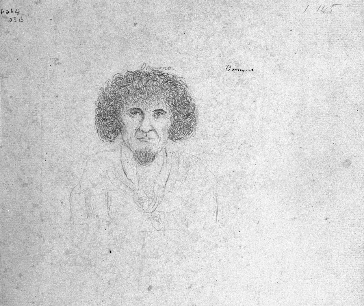 Oammo - William Ellis
