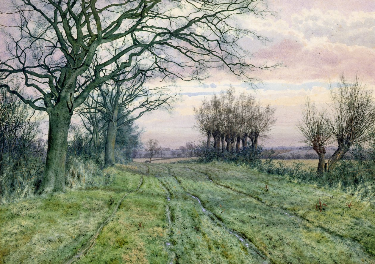 Un chemin de Fenland avec des saules têtards, 1887 - William Fraser Garden