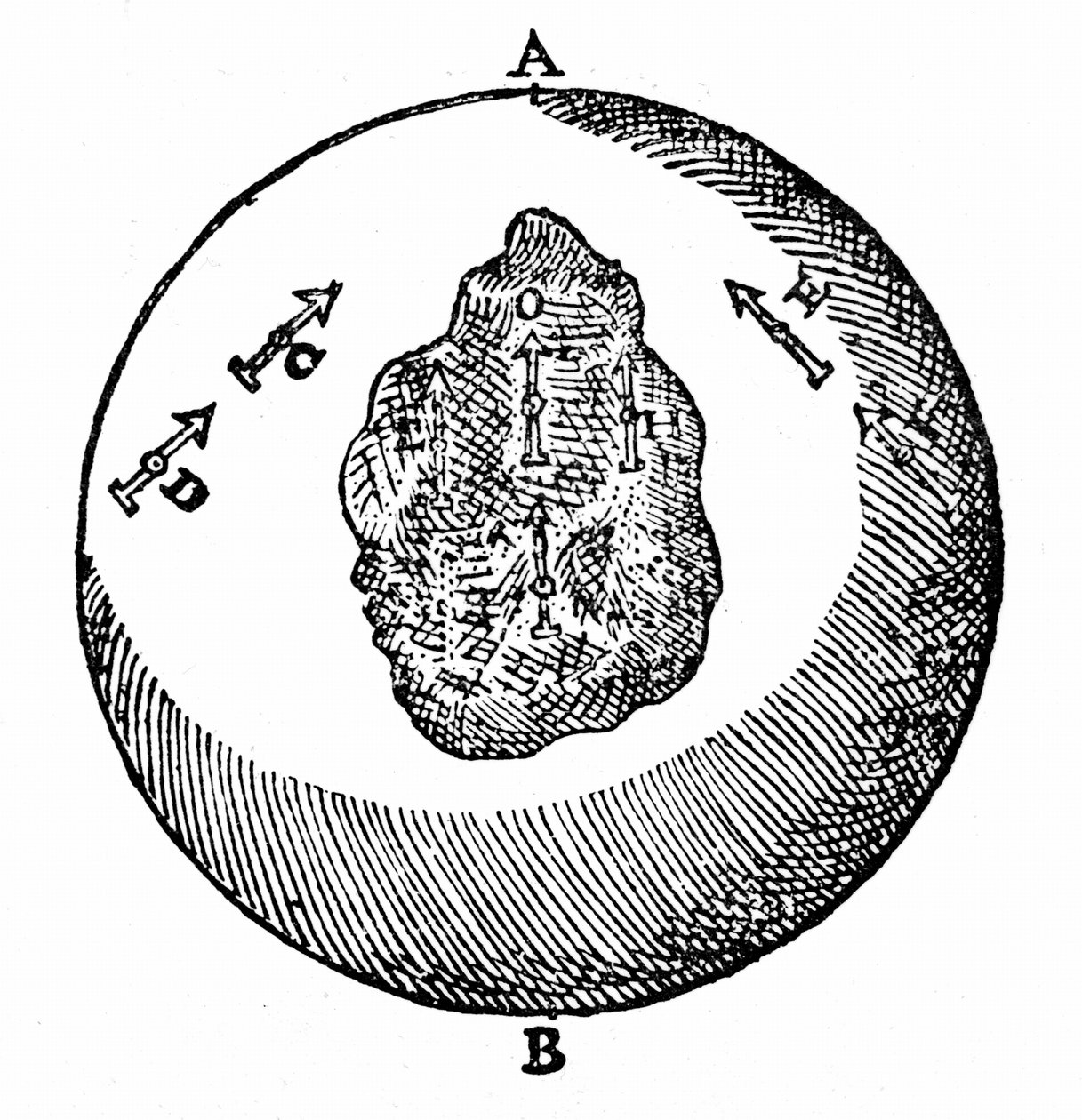 Les aiguilles magnétiques sur une terrella pointent vers le pôle nord, A. d