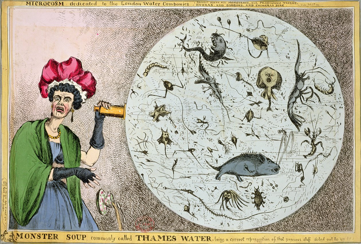 Microcosme dédié aux compagnies des eaux de Londres : Soupe de monstre communément appelée eau de la Tamise, étant une représentation correcte de cette précieuse substance distribuée !!!, gravé et publié en 1828 - William Heath