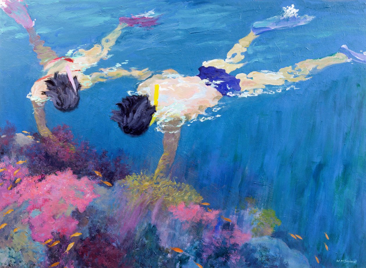 Corail II - William Ireland