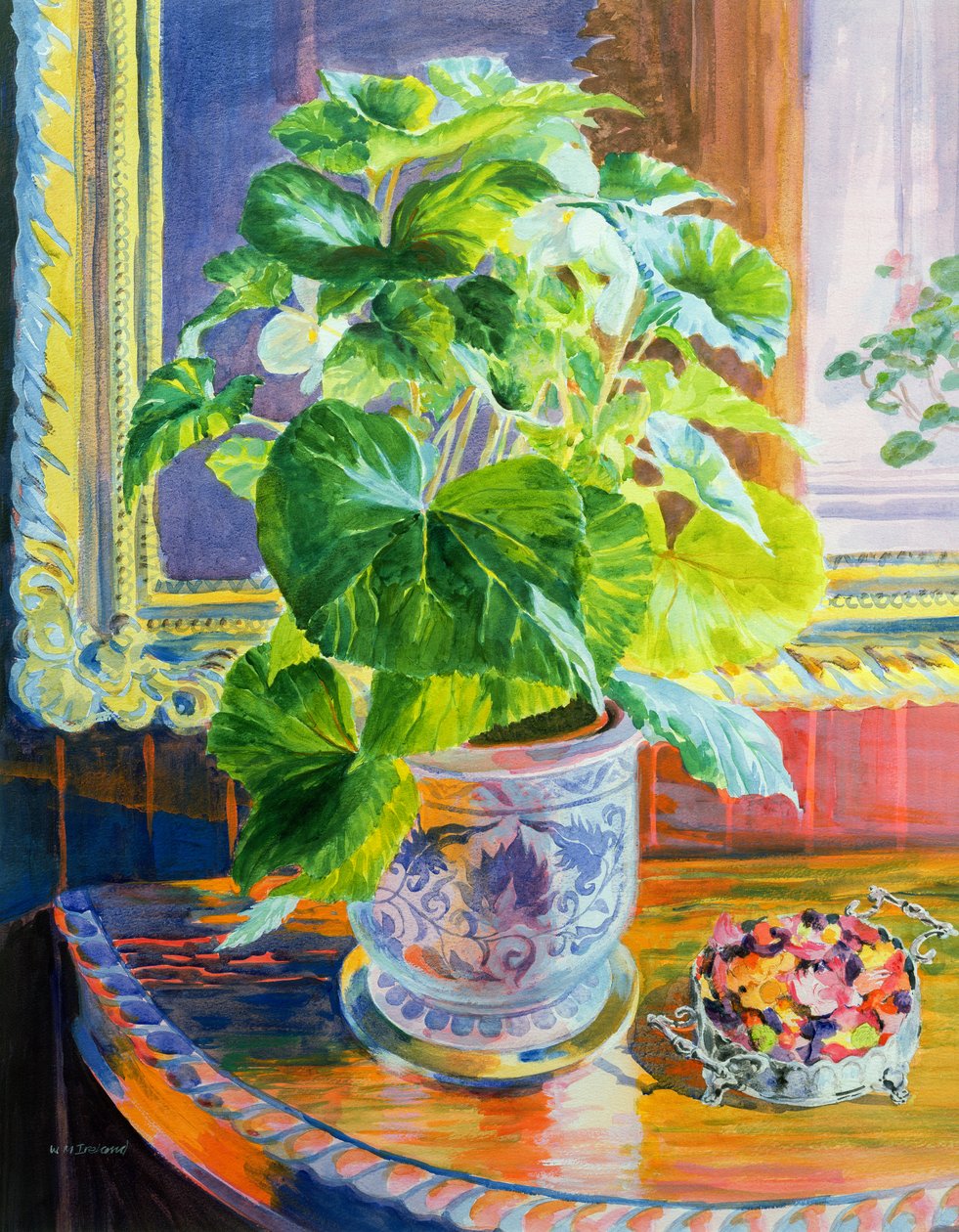 Vers la lumière - William Ireland