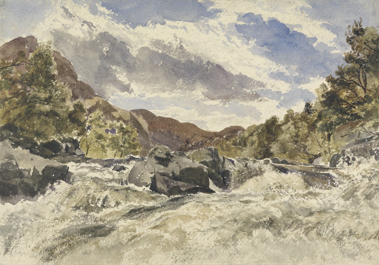 Un torrent de montagne - William James Muller