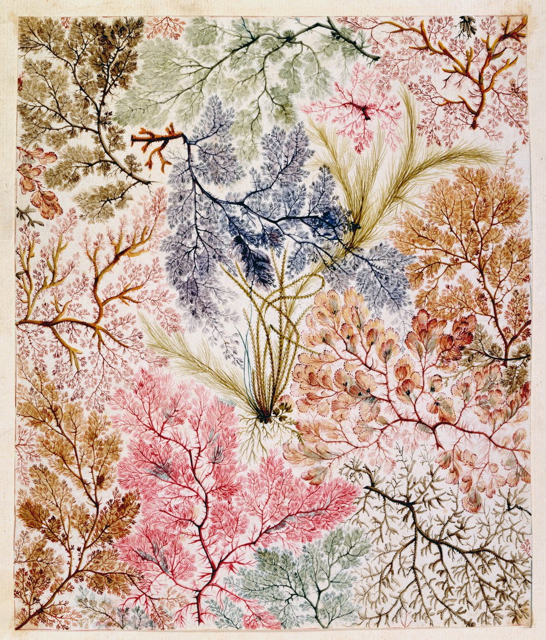 Motif textile, vers 1788-92 - William Kilburn