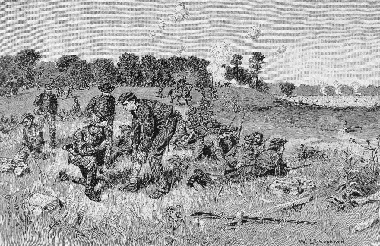 Ligne confédérée attendant des ordres dans la forêt, illustration de 