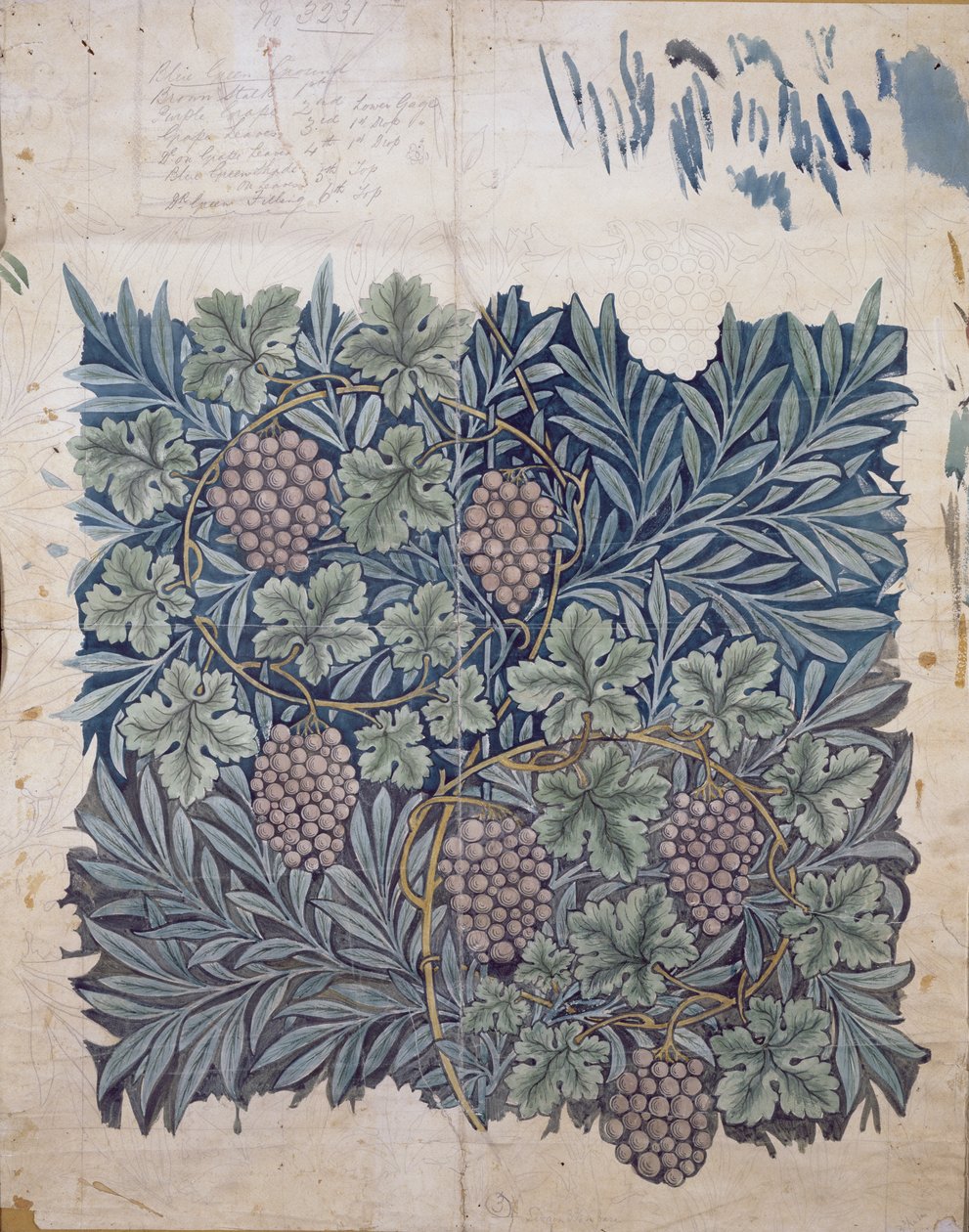 Motif de feuille et de raisin pour le papier peint 