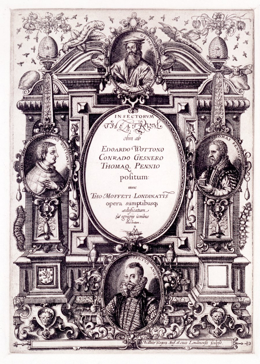 Page de titre de Moffeti Theatrum Insectorum, fin des années 1590 - William Rogers