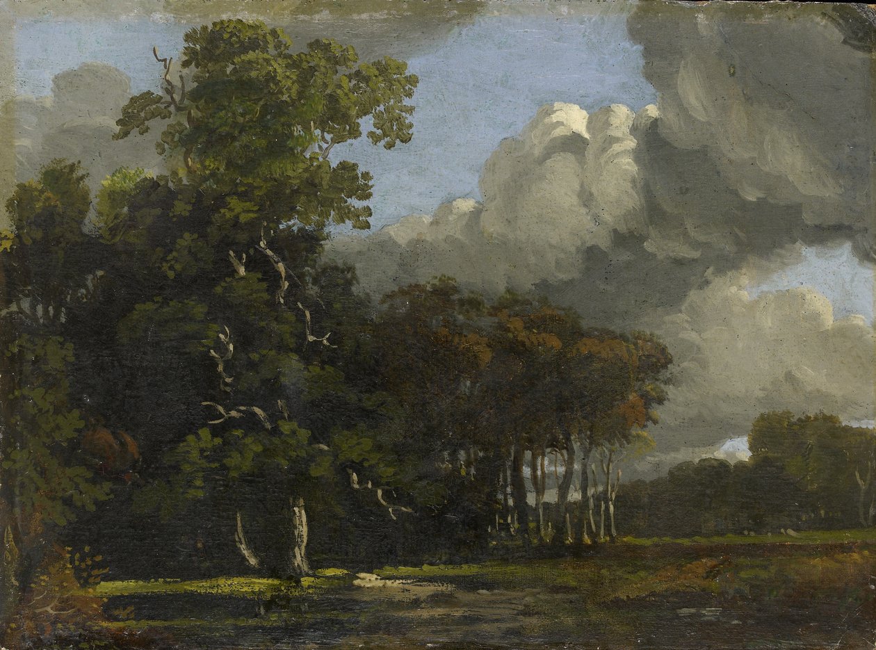 Paysage forestier, vers 1816 - 1820 - Joseph Mallord William Turner