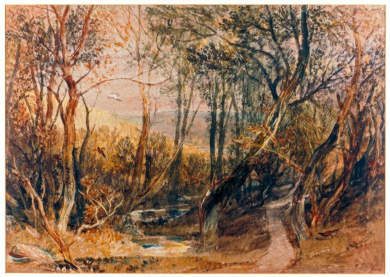 Scène boisée - Joseph Mallord William Turner