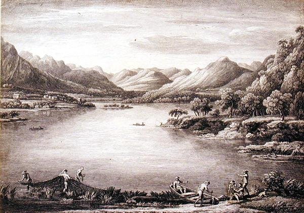 Vue de la tête d