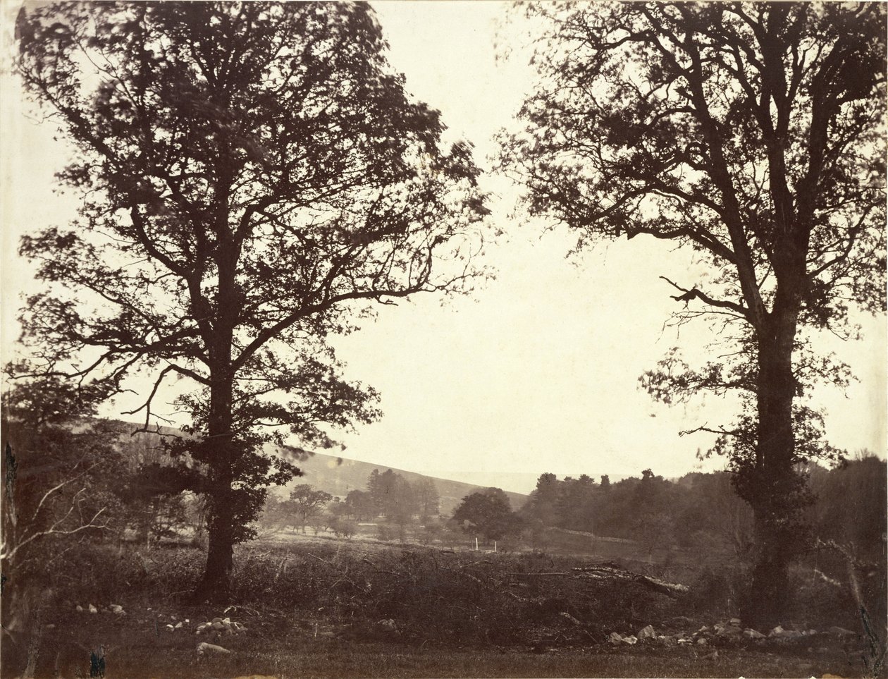 Paysage avec ormes, Ashdown, Grande-Bretagne - William 2nd Earl of Craven