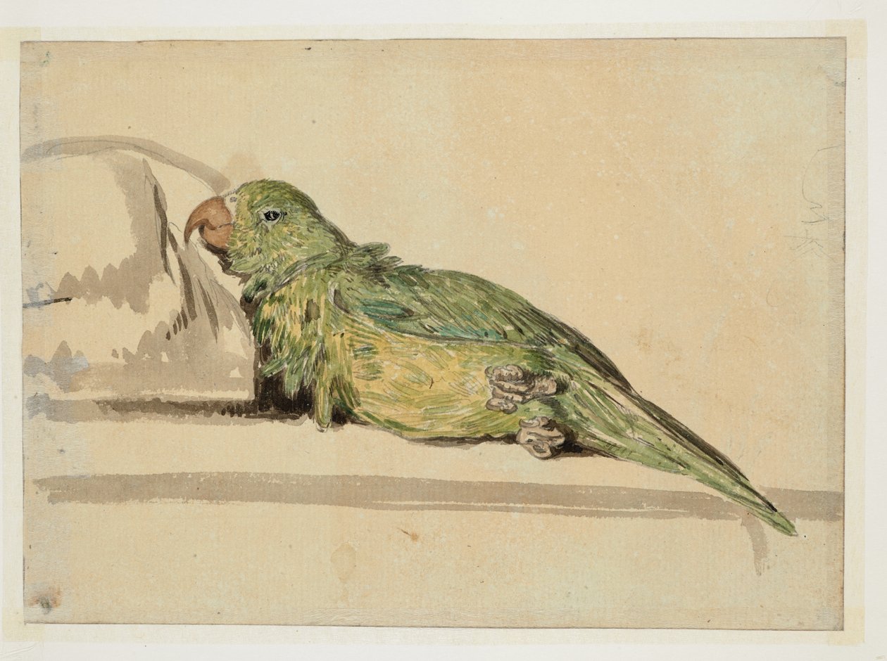 WD 961 f.4v - William Alexander