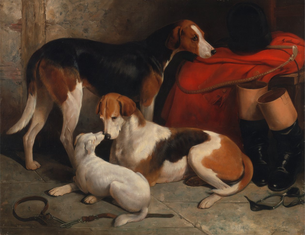 Un couple de foxhounds avec un terrier, propriété de Lord Henry Bentinck - William Barraud