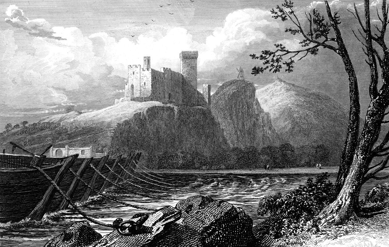 Le Château de Beaucaire et un pont de bateaux sur le Rhône, France - William Bernard Cooke