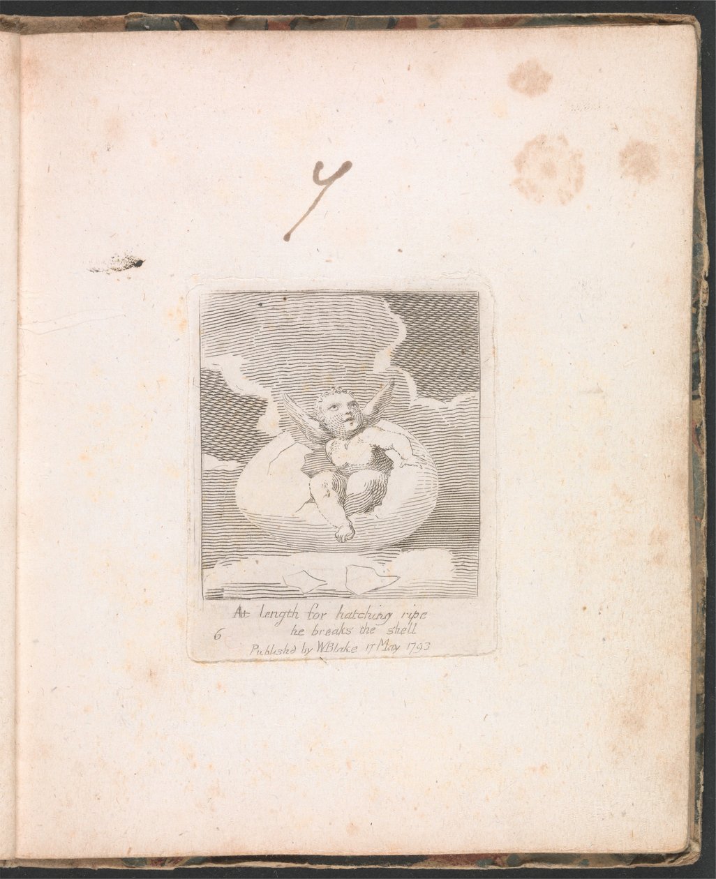 Pour les Enfants. Les Portes du Paradis, Planche 8, Enfin mûr pour éclore, il brise la coquille - William Blake