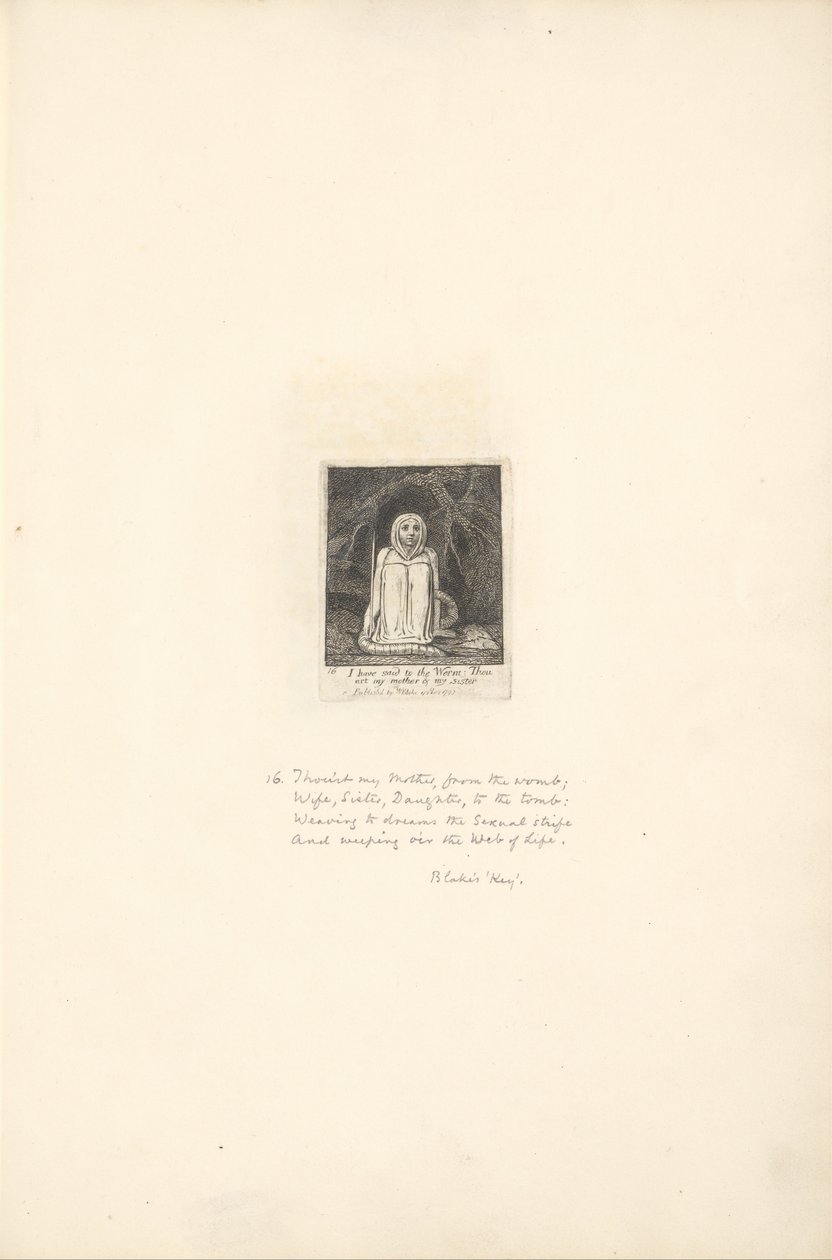 Pour les Sexes - Les Portes du Paradis, Planche 18 - William Blake