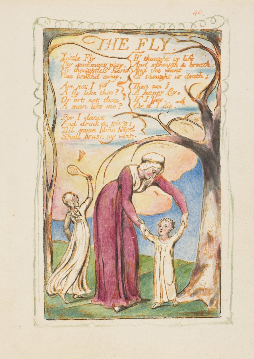 Lieder der Erfahrung: Die Fliege - William Blake