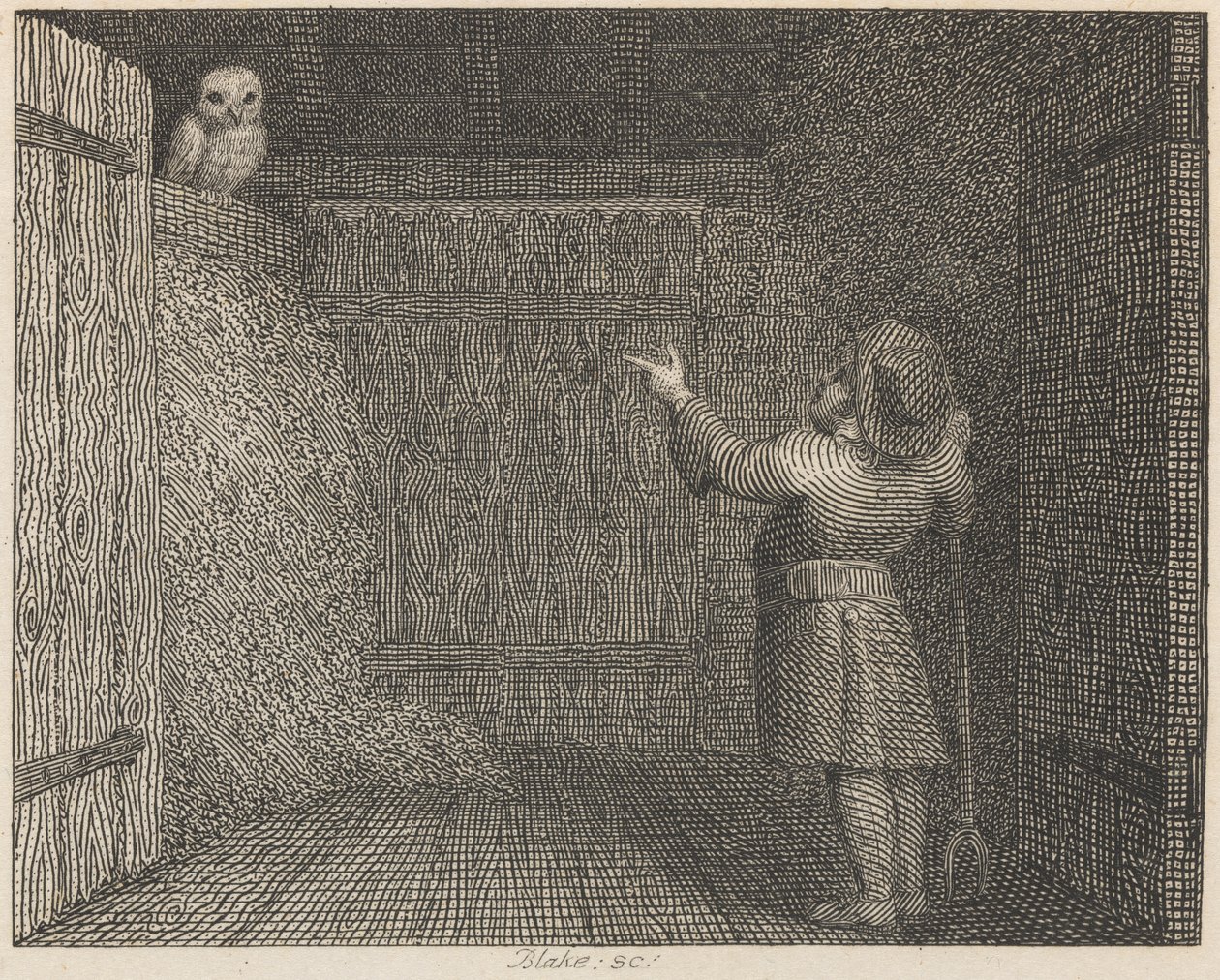 Le hibou et le fermier - William Blake