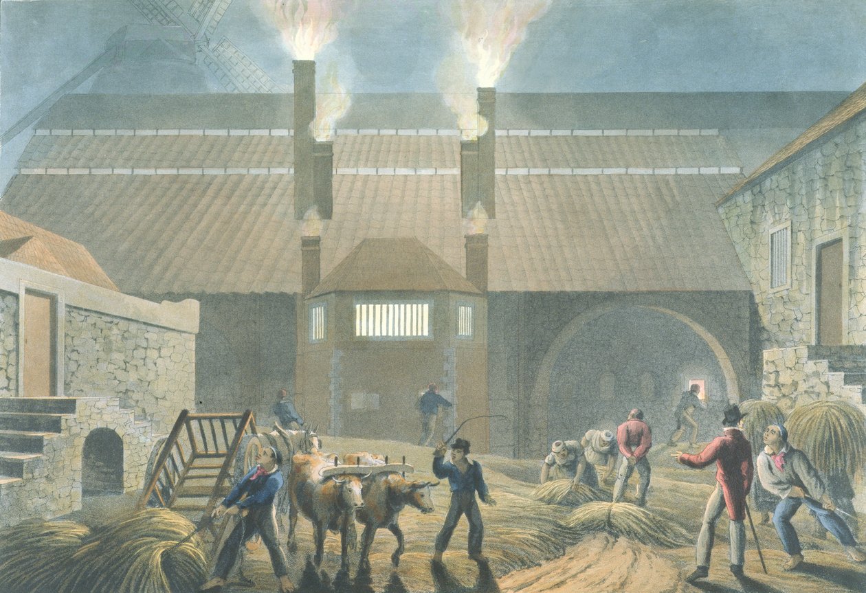 Extérieur de la maison de bouillage, de 