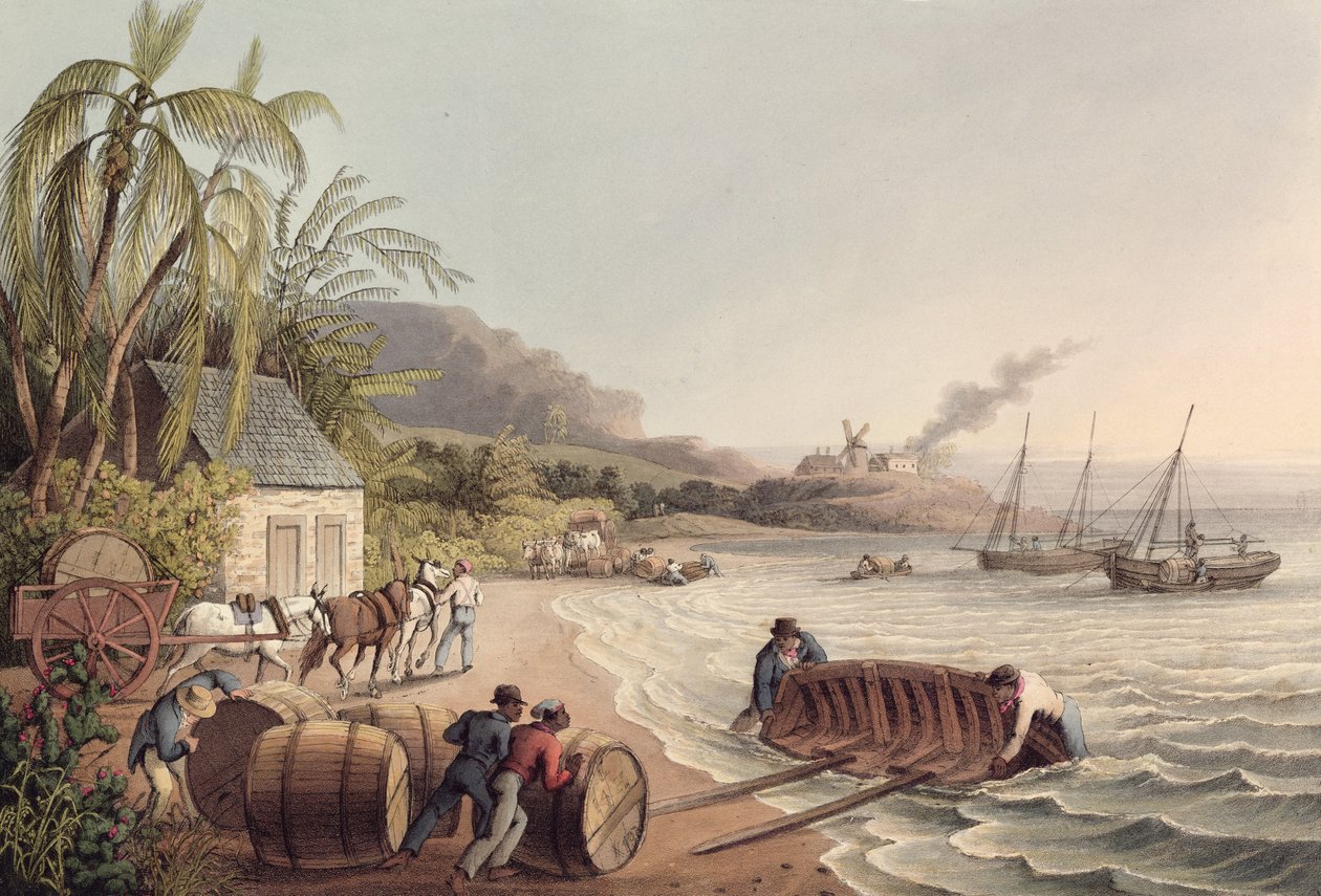 Chargement de barils de rhum et de sucre, Antigua - William Clark