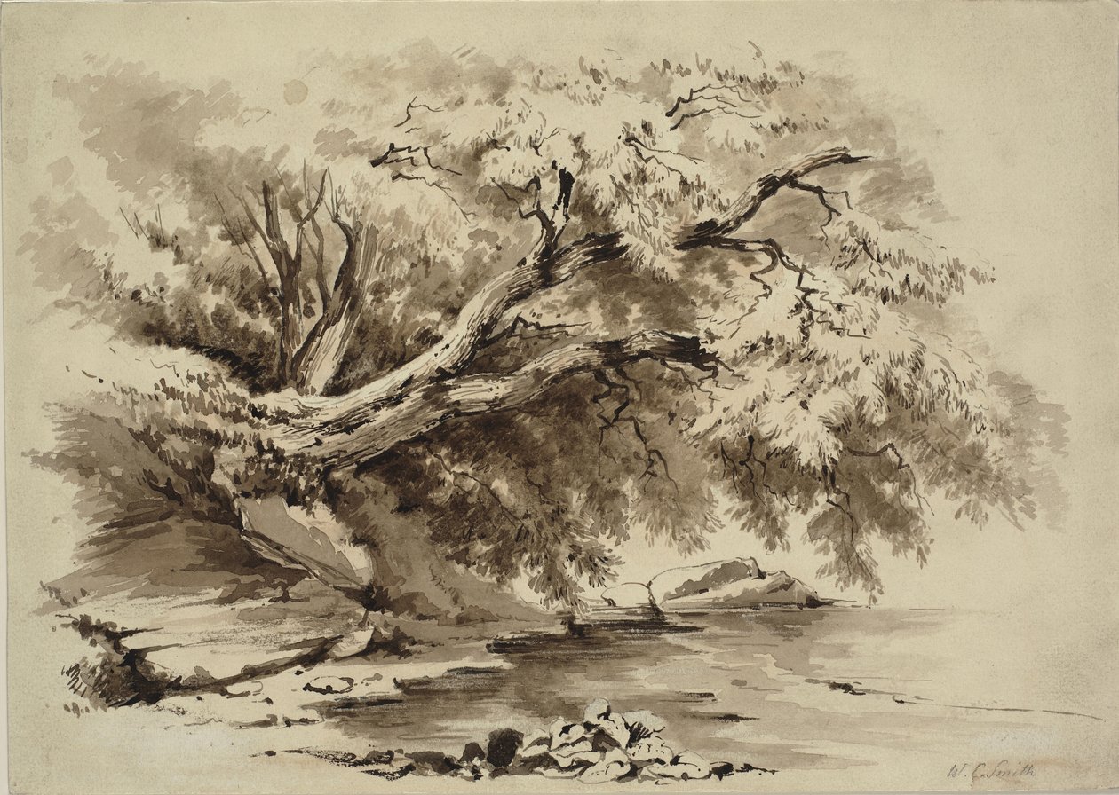 Paysage avec des arbres surplombant un lac - William Collingwood Smith