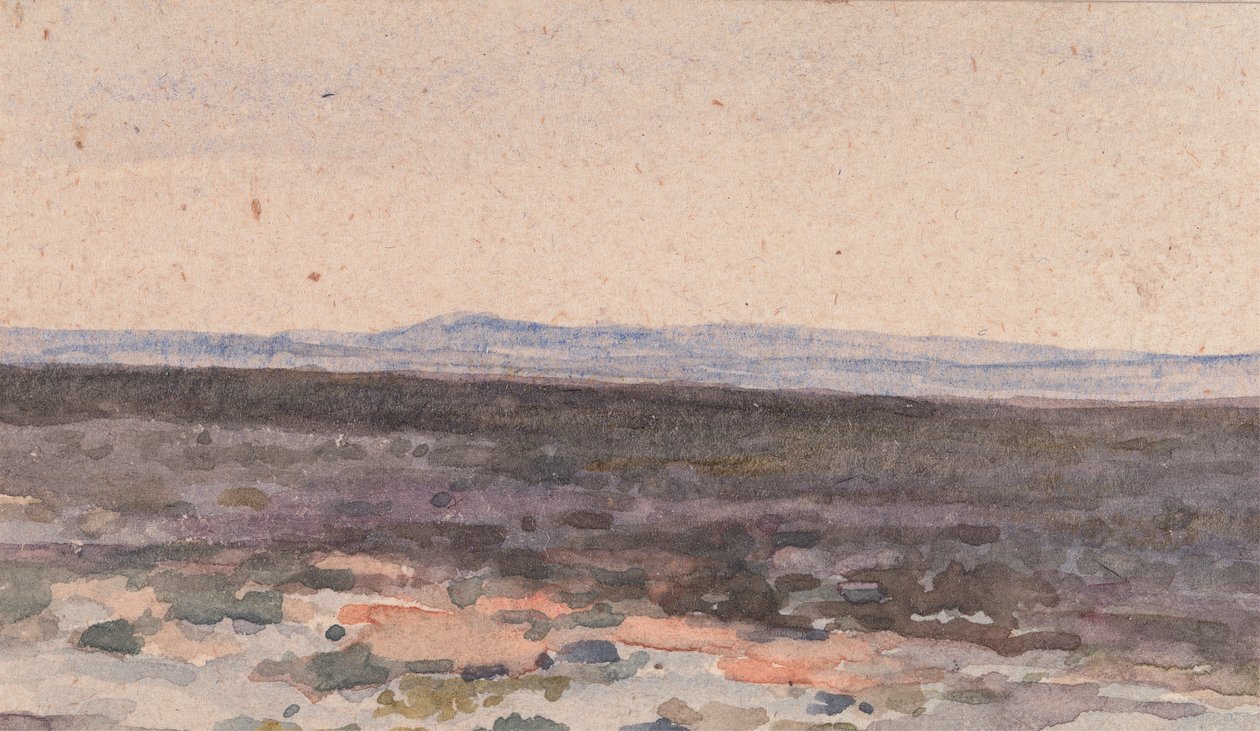 Paysage : Vallée avec montagne au loin - William Collins