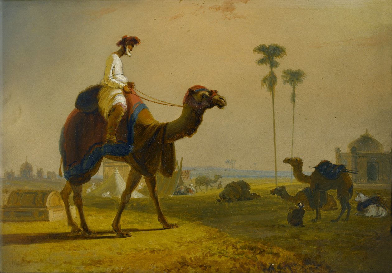Le chameau Hirkarrah (une scène dans les Indes orientales), 1832 - William Daniell