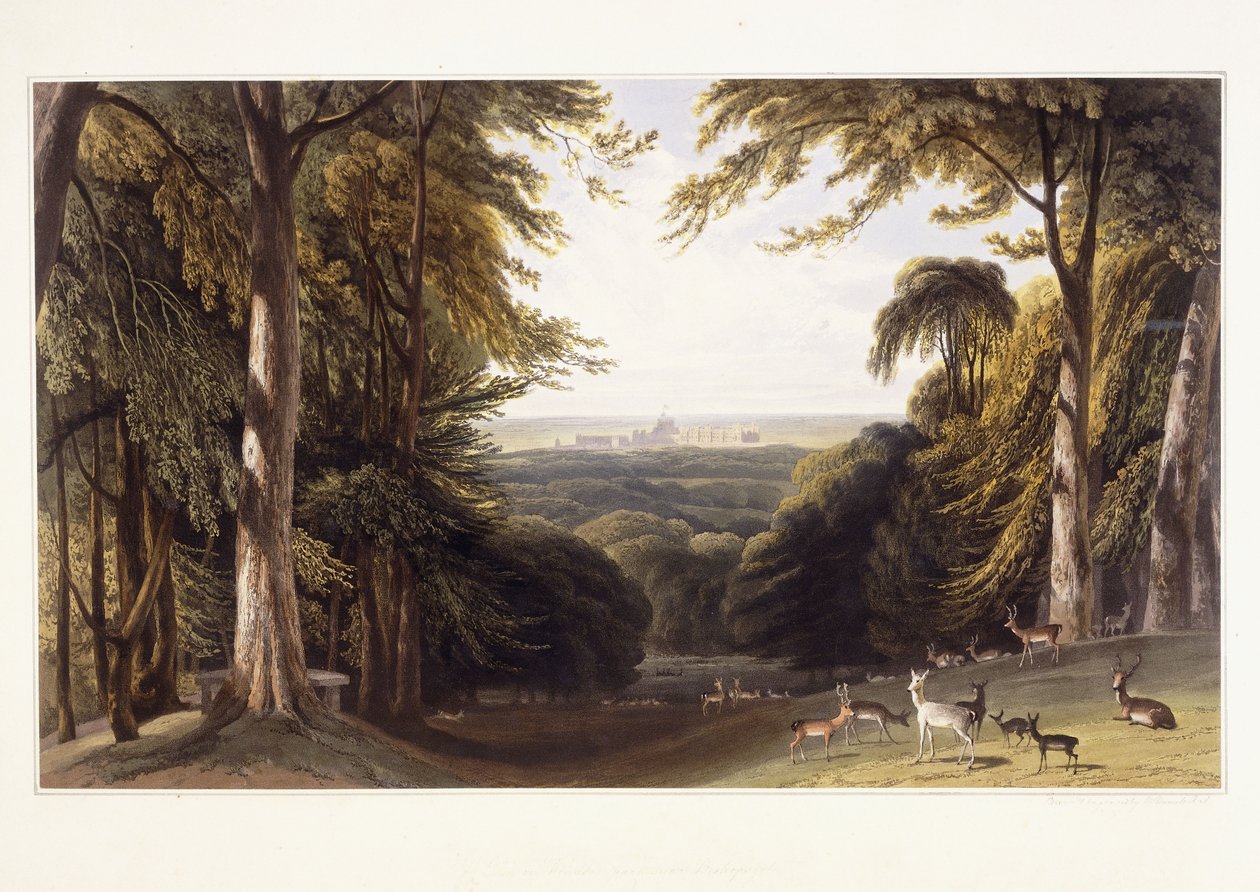 Château de Windsor depuis le parc aux cerfs, vers 1827-1829 - William Daniell
