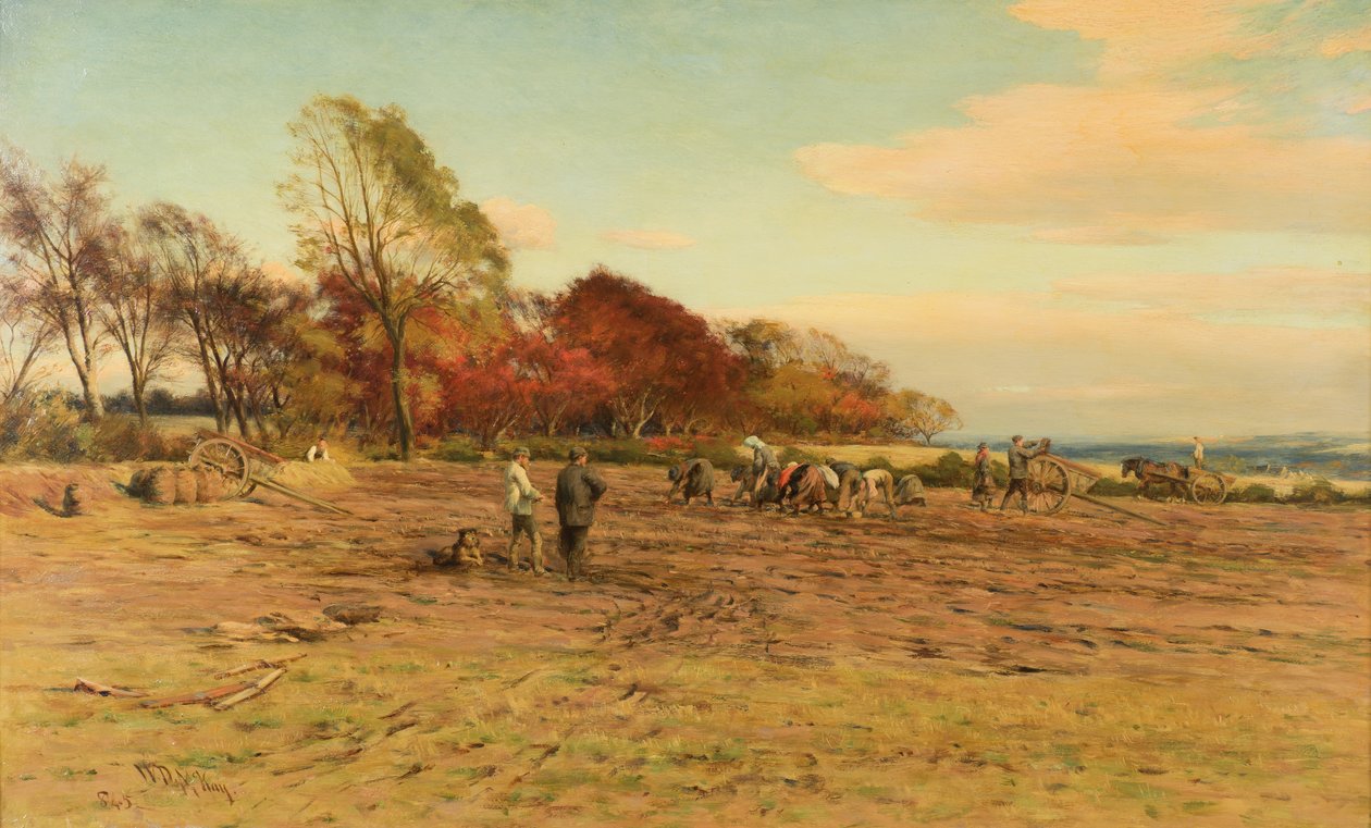 Récolte de pommes de terre - William Darling McKay