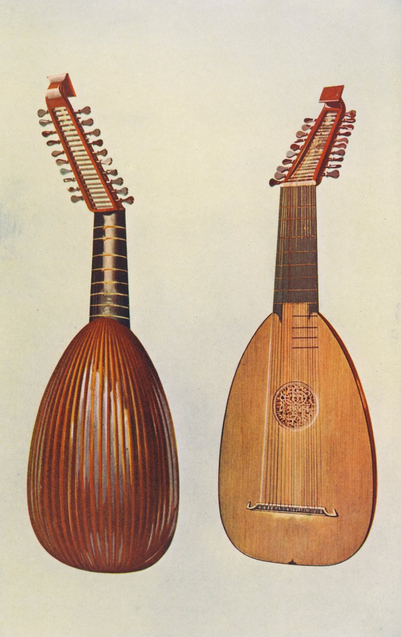 Instruments de musique : Luth (lithographie couleur) - William Gibb