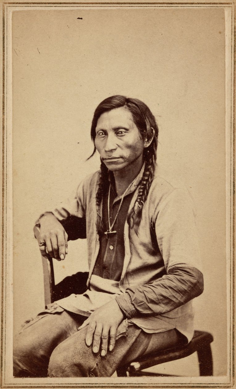Loup gris, années 1860 (photo) - William Gunnison Chamberlain