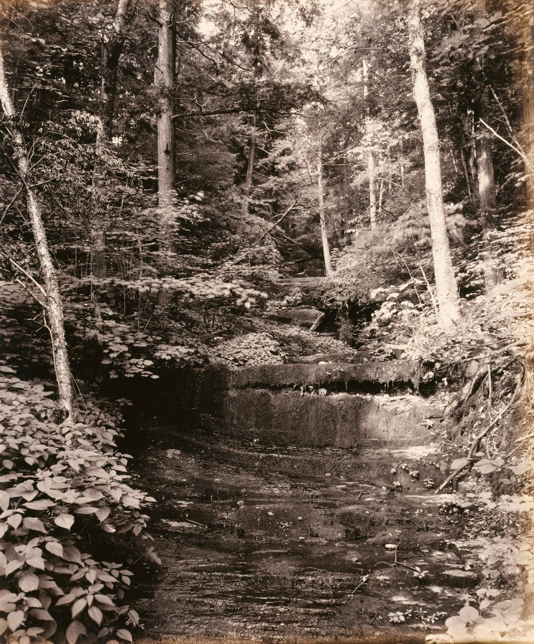 Lac Owasco, Cascade Glen, pour la Lehigh Valley Railroad - William H. Rau