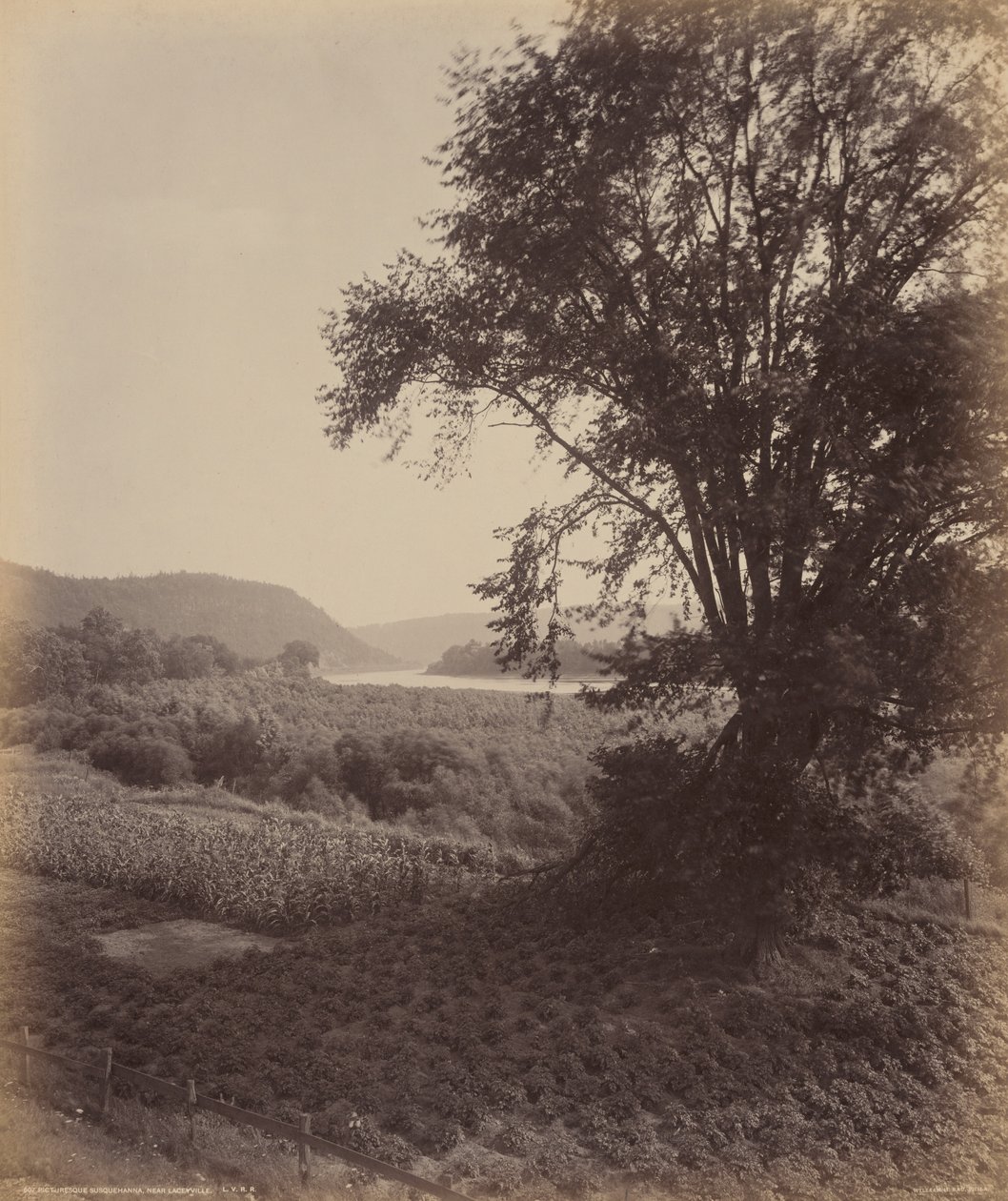Susquehanna pittoresque, près de Laceyville - William H. Rau