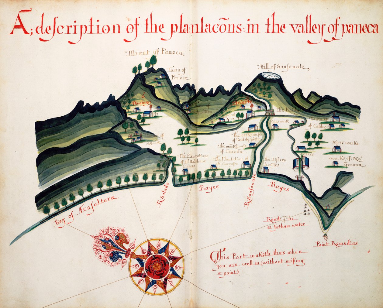 Description des plantations dans la vallée de Paneca - William Hack