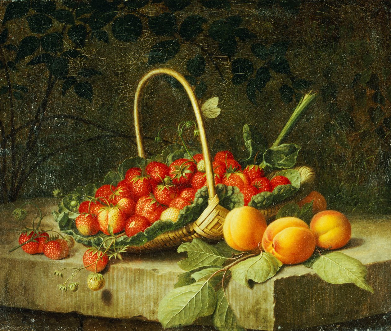 Un panier de fraises avec des pêches sur un rebord de pierre, 1856 - William Hammer