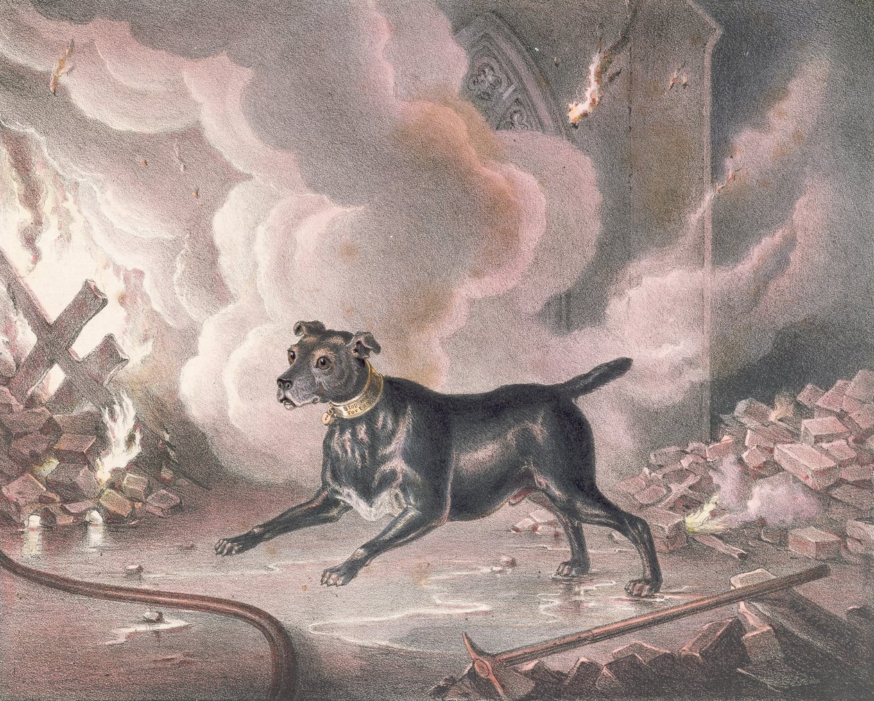 Le chien du pompier de Londres - William Heath