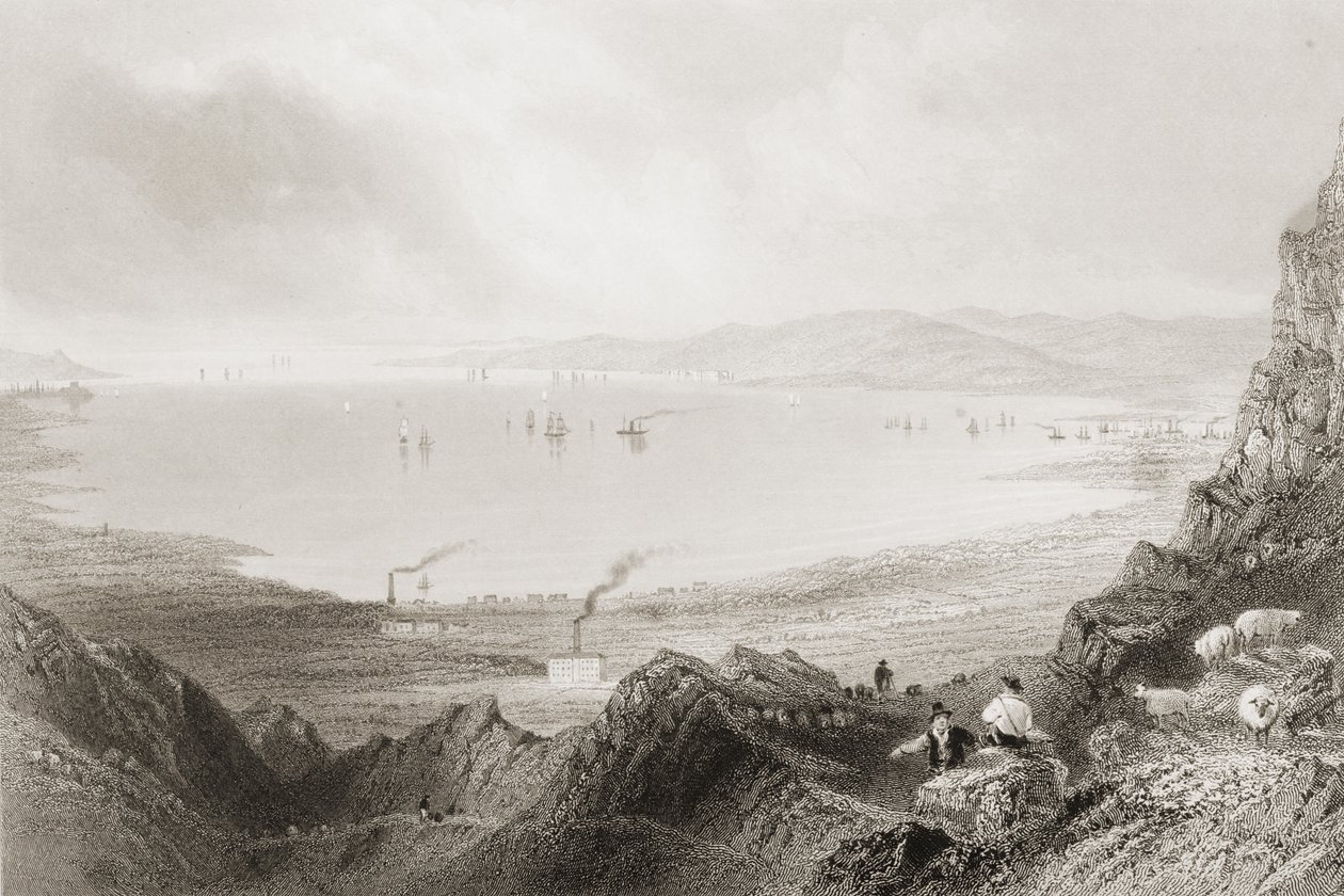 Belfast Lough, comté d